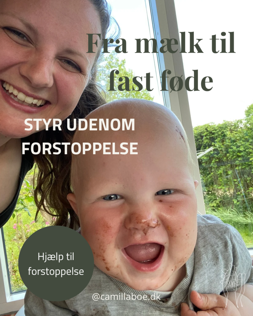 e-bog fra mælk til fast føde